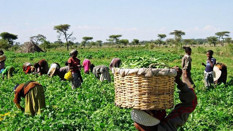 Environment and natural resource management